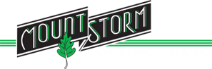 Mount Storm logo